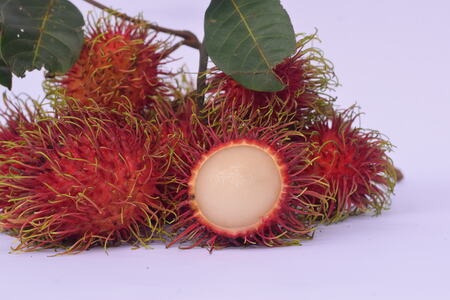 Rambutan packing